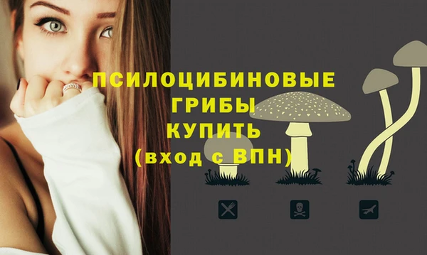 соль ск Балабаново