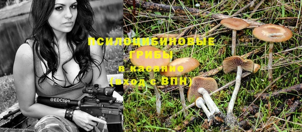 соль ск Балабаново