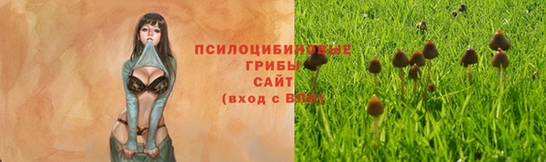 винт Балахна