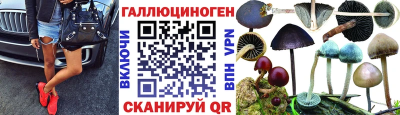 Псилоцибиновые грибы мухоморы  Бор 