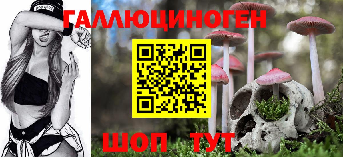 Псилоцибиновые грибы MAGIC MUSHROOMS  Вход с VPN  Бор  Псилоцибиновые грибы MAGIC MUSHROOMS 
