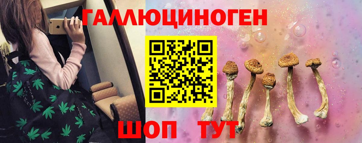 Псилоцибиновые грибы Cubensis Бор